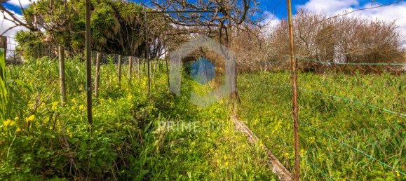 9 bedrooms House in Setubal, Portugal No. 146419 26