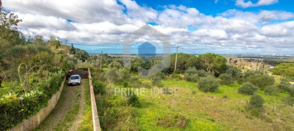 9 bedrooms House in Setubal, Portugal No. 146419 3