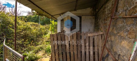 9 bedrooms House in Setubal, Portugal No. 146419 22