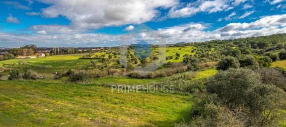 9 bedrooms House in Setubal, Portugal No. 146419 12