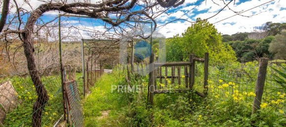 9 bedrooms House in Setubal, Portugal No. 146419 20