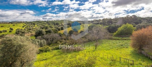 9 bedrooms House in Setubal, Portugal No. 146419 13