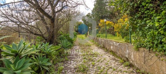 9 bedrooms House in Setubal, Portugal No. 146419 50