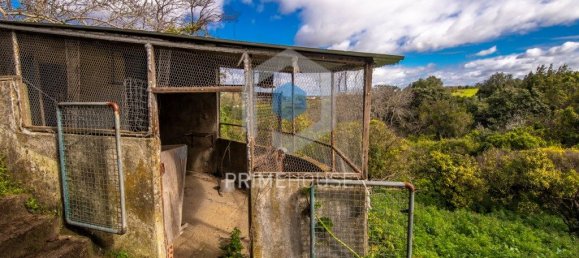 9 bedrooms House in Setubal, Portugal No. 146419 23