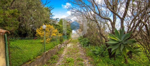 9 bedrooms House in Setubal, Portugal No. 146419 17