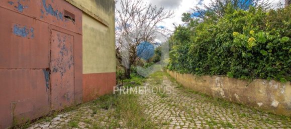 9 bedrooms House in Setubal, Portugal No. 146419 5