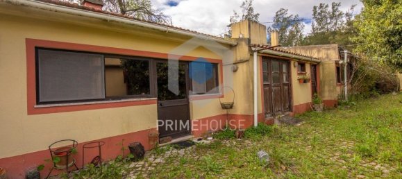 9 bedrooms House in Setubal, Portugal No. 146419 33