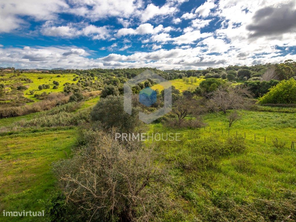 9 bedrooms House in Setubal, Portugal No. 146419