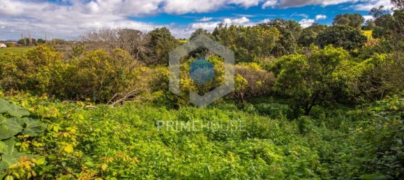 9 bedrooms House in Setubal, Portugal No. 146419 25