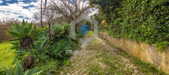 9 bedrooms House in Setubal, Portugal No. 146419 15