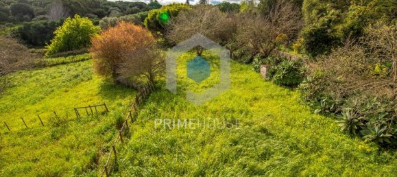 9 bedrooms House in Setubal, Portugal No. 146419 14