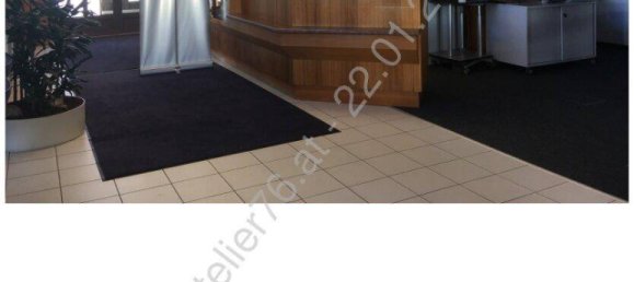 5غرفة عقار تجاري في Hinterstoder, Austria رقم 204014 13