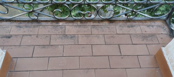 5 غرف نوم شقة في La Rioja, Spain رقم 156798 19