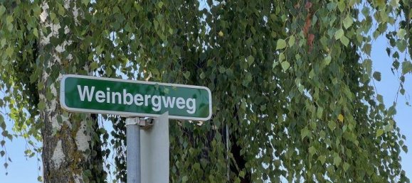 Grundstück in Leibnitz, Austria, Nr. 231476 2