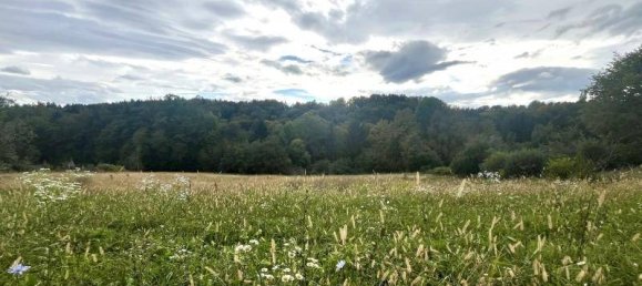 Grundstück in Leibnitz, Austria, Nr. 231476 4