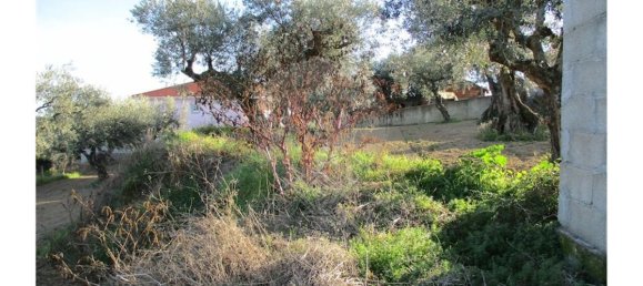 9 bedrooms House in Fundao, Portugal No. 58549 6