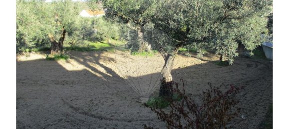 9 bedrooms House in Fundao, Portugal No. 58549 3