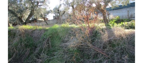 9 bedrooms House in Fundao, Portugal No. 58549 7