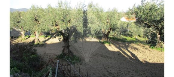 9 bedrooms House in Fundao, Portugal No. 58549 5