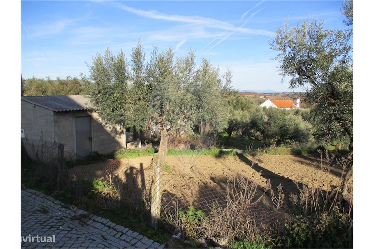 9 bedrooms House in Fundao, Portugal No. 58549