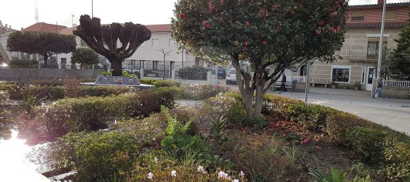 4 غرف نوم منزل في Marco de Canaveses, Portugal رقم 29644 15