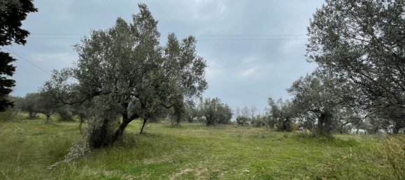 Grundstück in Paglieta, Italy 56000m², Nr. 125110 14