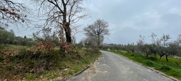 Grundstück in Paglieta, Italy 56000m², Nr. 125110 17