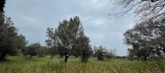 Grundstück in Paglieta, Italy 56000m², Nr. 125110 7