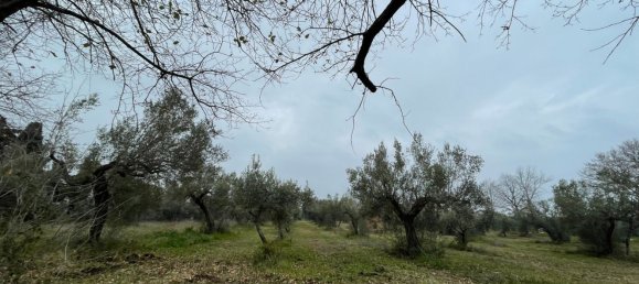 Grundstück in Paglieta, Italy 56000m², Nr. 125110 15