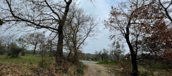 Grundstück in Paglieta, Italy 56000m², Nr. 125110 16