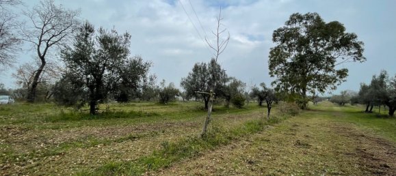 Grundstück in Paglieta, Italy 56000m², Nr. 125110 6