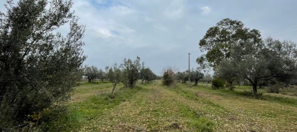 Grundstück in Paglieta, Italy 56000m², Nr. 125110 3