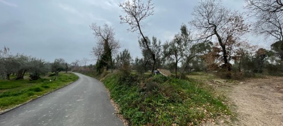 Grundstück in Paglieta, Italy 56000m², Nr. 125110 19