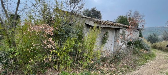 Grundstück in Paglieta, Italy 56000m², Nr. 125110 9