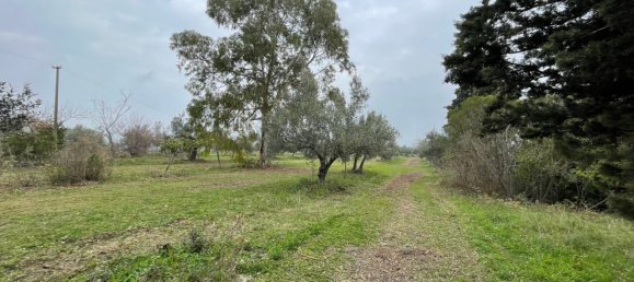 Grundstück in Paglieta, Italy 56000m², Nr. 125110 11