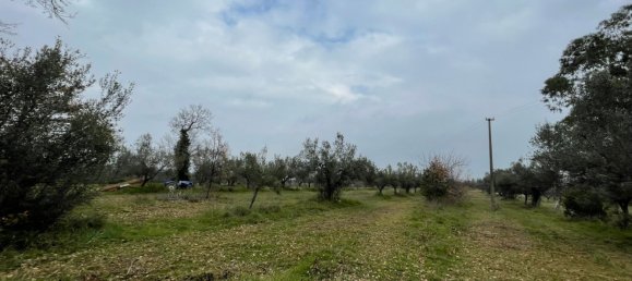 Grundstück in Paglieta, Italy 56000m², Nr. 125110 4