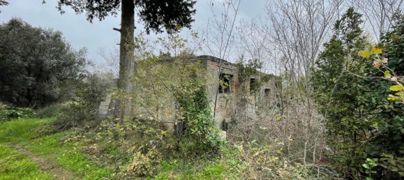 Grundstück in Paglieta, Italy 56000m², Nr. 125110 10