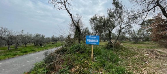 Grundstück in Paglieta, Italy 56000m², Nr. 125110 2