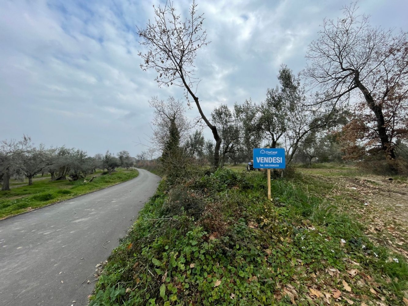 Terrain à Paglieta, Italy 56000m² No. 125110