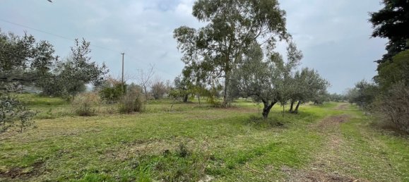 Grundstück in Paglieta, Italy 56000m², Nr. 125110 12