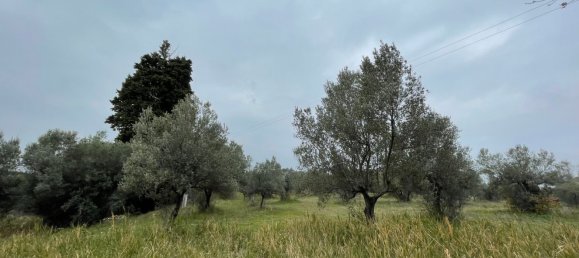 Grundstück in Paglieta, Italy 56000m², Nr. 125110 8