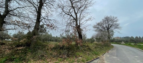 Grundstück in Paglieta, Italy 56000m², Nr. 125110 18