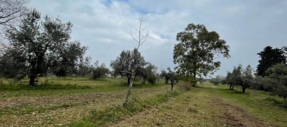 Grundstück in Paglieta, Italy 56000m², Nr. 125110 5