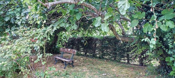 3 bedrooms House in Occitanie, France No. 293633 18