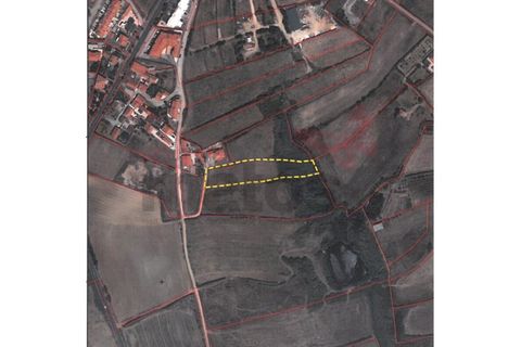  قطعة أرض في Lourinha, Portugal 4000متر مربع رقم 305277