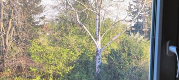 Коммерческая недвижимость 390м² в Корнойбург, Австрия № 256912 33