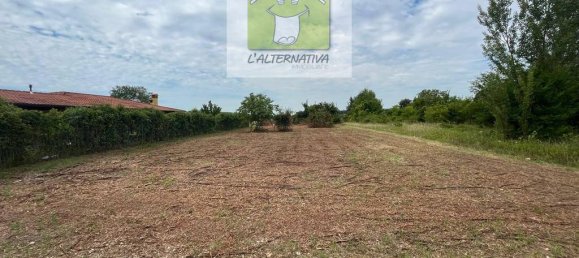 1 room Land in Gorizia, Italy No. 17286 19