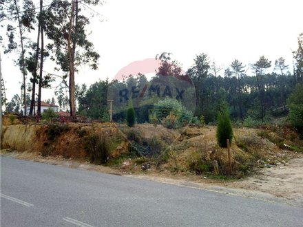  Land in Mortagua, Portugal No. 88105