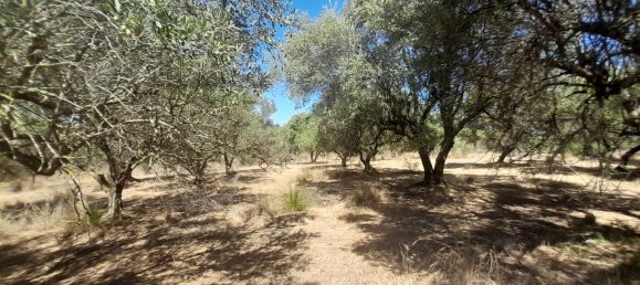 Casa de 2 habitaciónes en Balestrate, Italy No. 255865 5