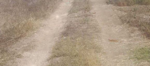 Casa de 2 habitaciónes en Balestrate, Italy No. 255865 9